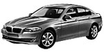 BMW F10 U245F Fault Code